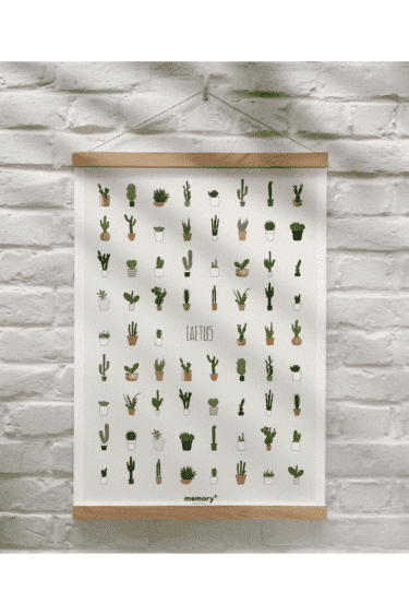 affiche cactus, affiche maison, affiche memory affiche, memory affiche, concept store lille, moos family store