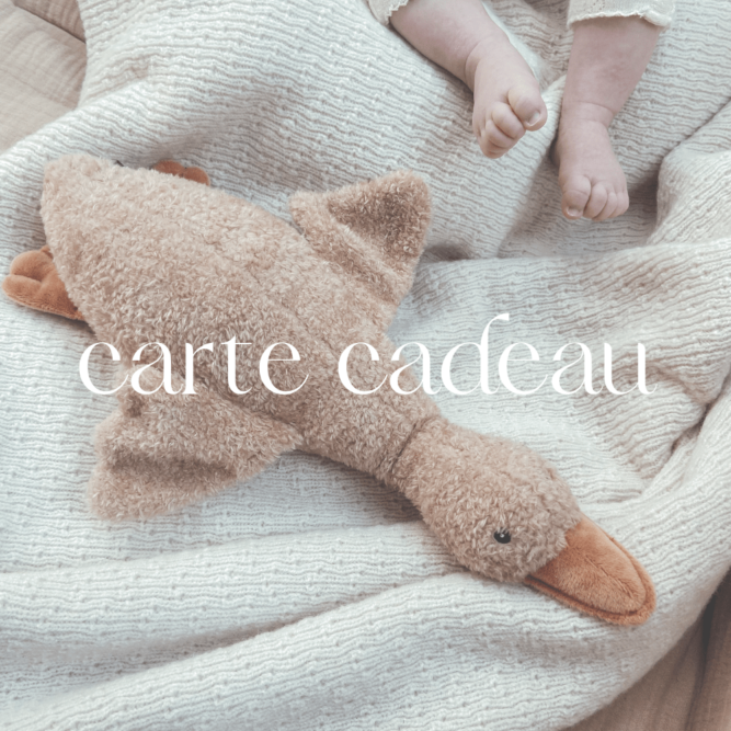 carte cadeau, carte cadeau moos family store, moos family store, concept store lille, boutique bebe et enfant, moos lille, carte cadeau moos