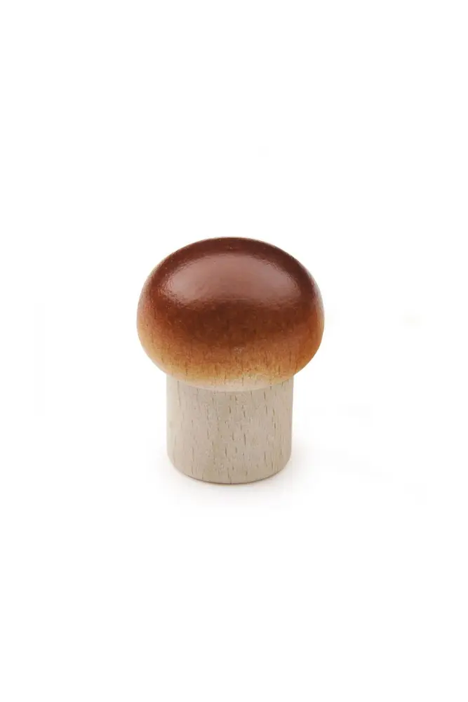 champignon bois dinette