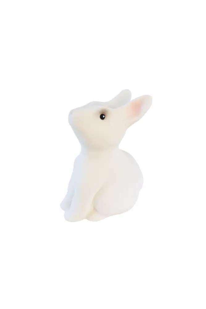 tirelire lapin egmont toys