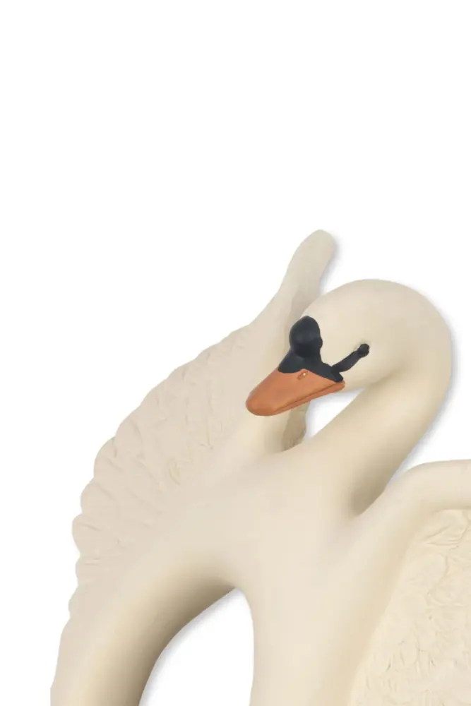 anneau dentition bebe cygne