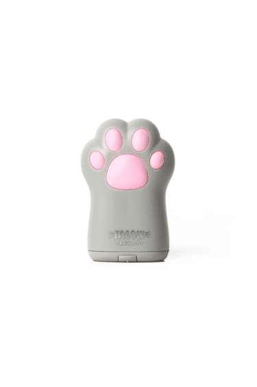 taille crayon avec reservoir patte de chat legami