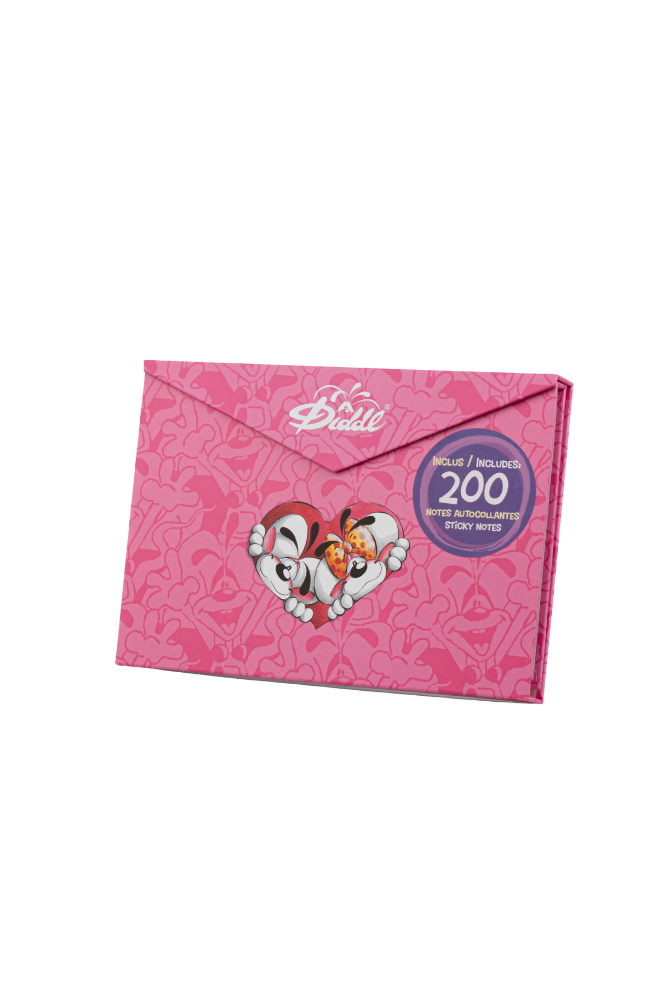 coffret avec post it, notes de la marque diddl