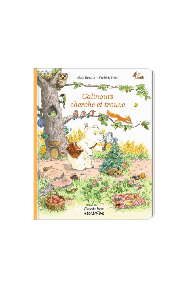 livre cherche et trouve calinours