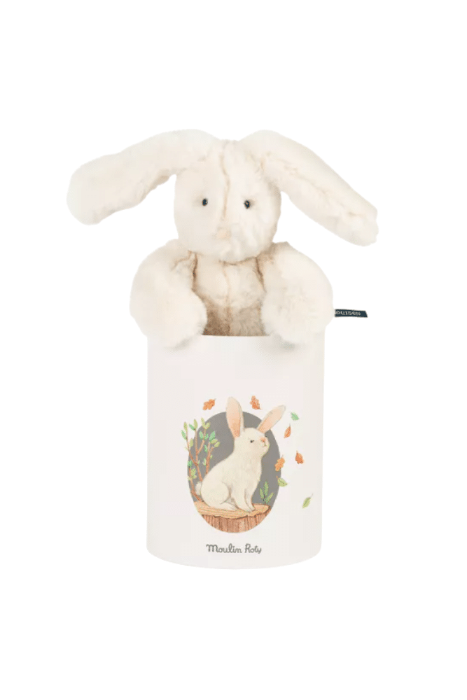 doudou lapin blanc dans boite