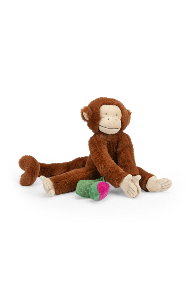 PELUCHE SINGE D'ACTIVITES | Mochica