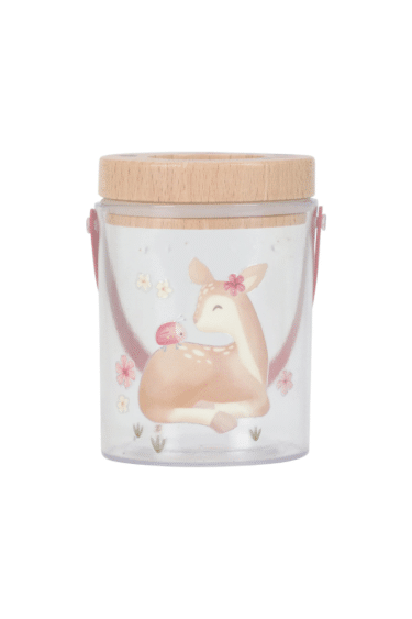 Boite insecte little dutch rose