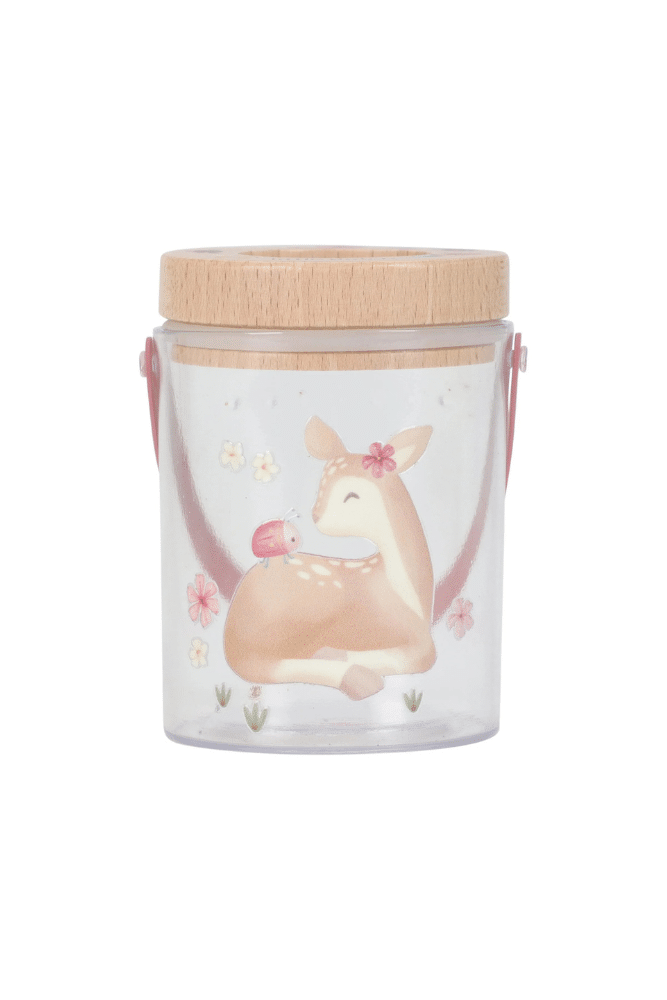 Boite insecte little dutch rose