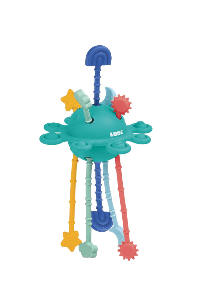 jouet sensorielle bebe ludi ziptoy