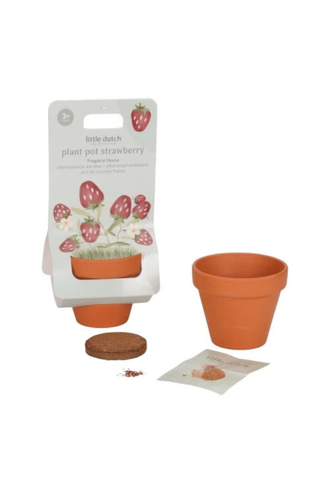 kit plantation fraises