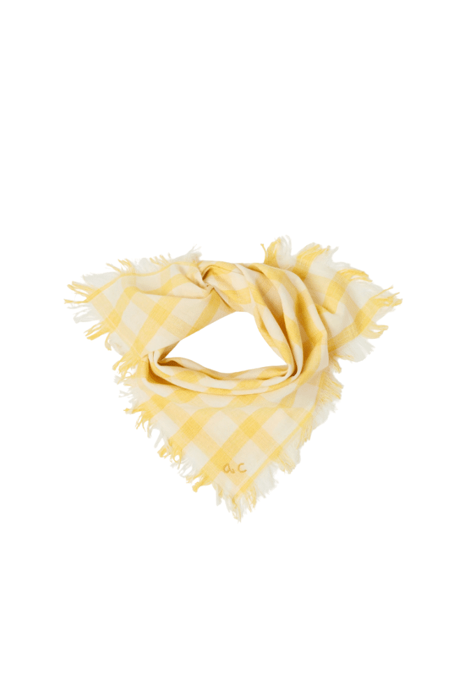 petit foulard picnic apaches