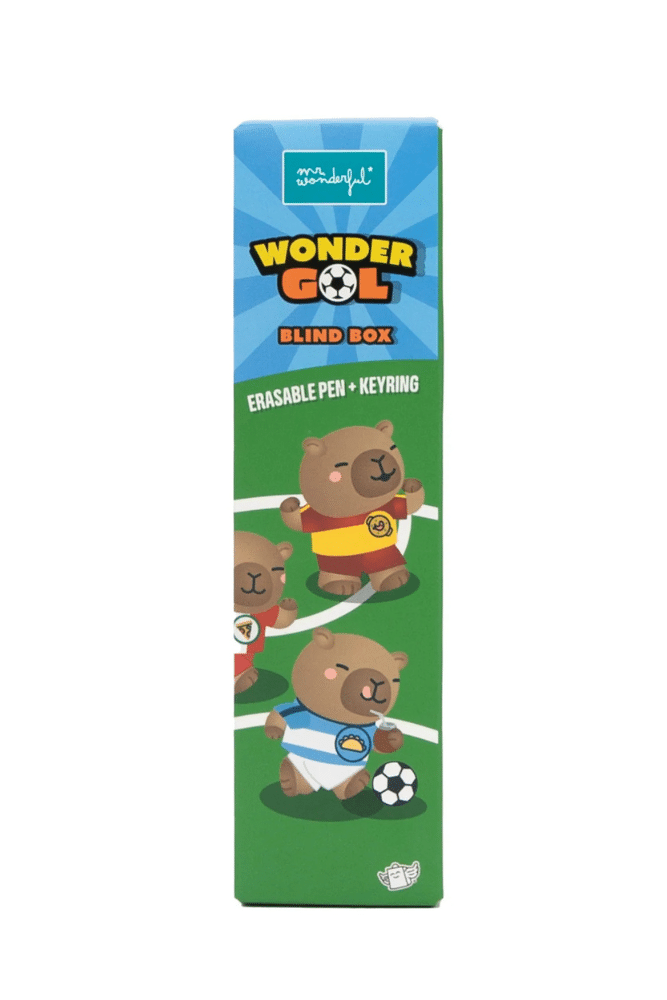stylo mystère wonder gol mr wonderful