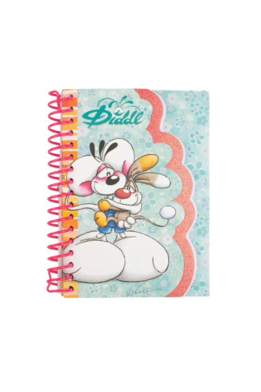 carnet forme diddl et bibombl